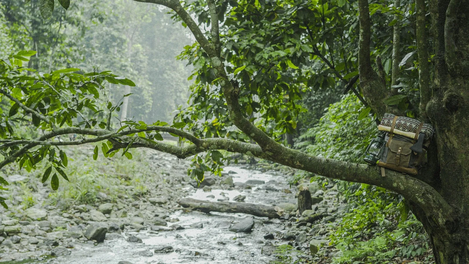 Một chiếc túi xách tựa trên cành cây rêu phong bên suối đá trong rừng sương mù ở Phú Thọ. Một chiếc túi xách tựa trên cành cây rêu phong bên suối đá trong rừng sương mù ở Phú Thọ.