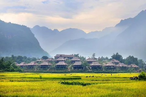Những ngôi nhà sàn mái tranh nằm giữa cánh đồng lúa vàng dưới dãy núi đá vôi mờ sương ở Mai Châu. Những ngôi nhà sàn mái tranh nằm giữa cánh đồng lúa vàng dưới dãy núi đá vôi mờ sương ở Mai Châu.