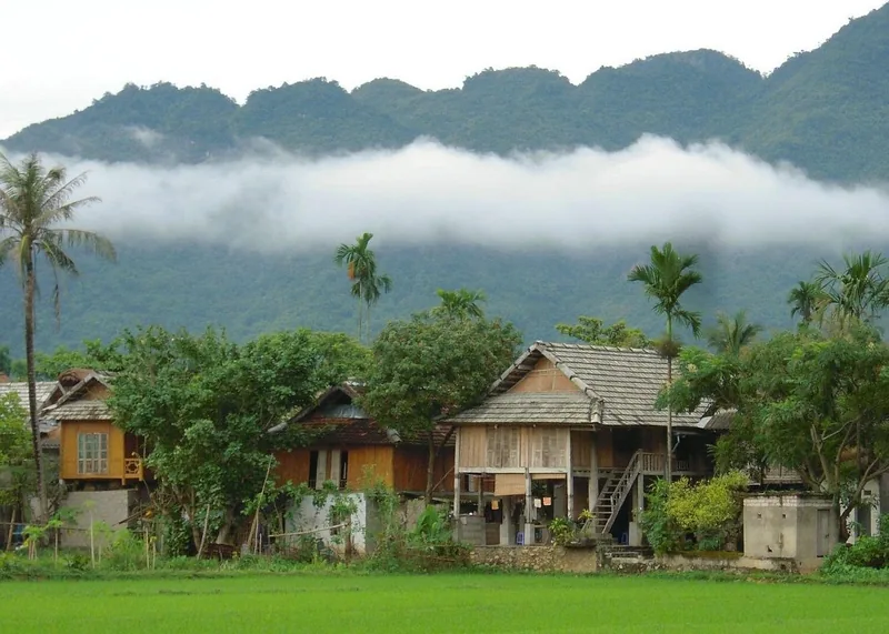 Những căn nhà sàn gỗ giữa cây cối và ruộng lúa xanh, phía sau là núi mờ sương ở Mai Châu. Những căn nhà sàn gỗ giữa cây cối và ruộng lúa xanh, phía sau là núi mờ sương ở Mai Châu.