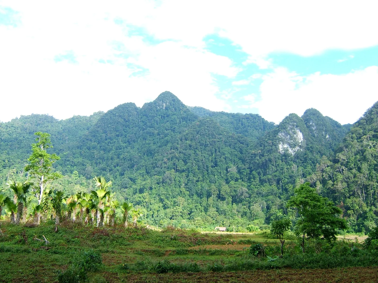 Những dãy núi đá vôi phủ rừng xanh nhô lên trên thung lũng xanh tại Vườn quốc gia Xuân Sơn. Những dãy núi đá vôi phủ rừng xanh nhô lên trên thung lũng xanh tại Vườn quốc gia Xuân Sơn.